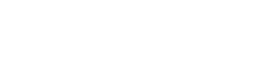 Cyber Wave Japan
